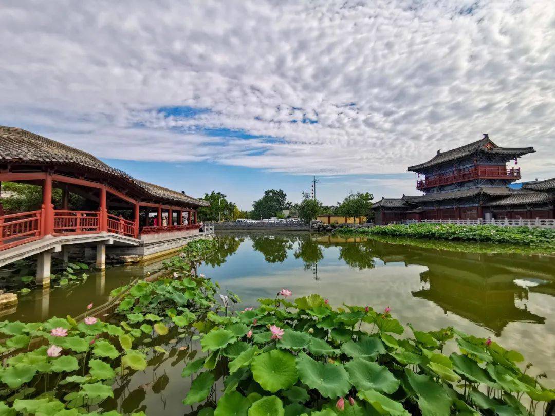 开封最新大片绝美