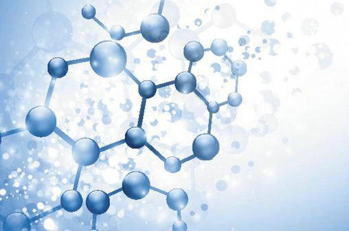 团队|新机制让身体“假装”吃得少 激活更强免疫力对抗肿瘤