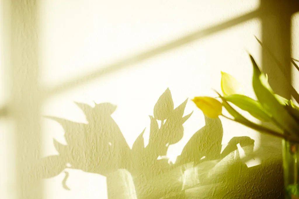 白居易|今日小暑｜倏忽温风至 心静自然凉