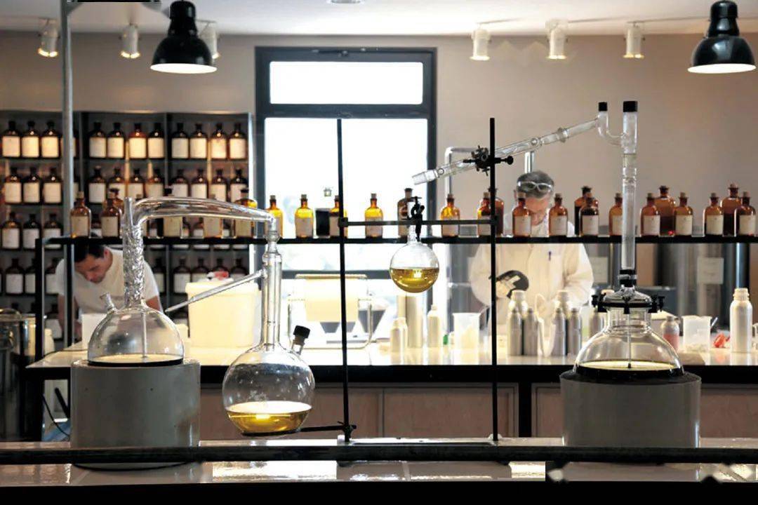 别去巴黎了最好的香水原来在这里