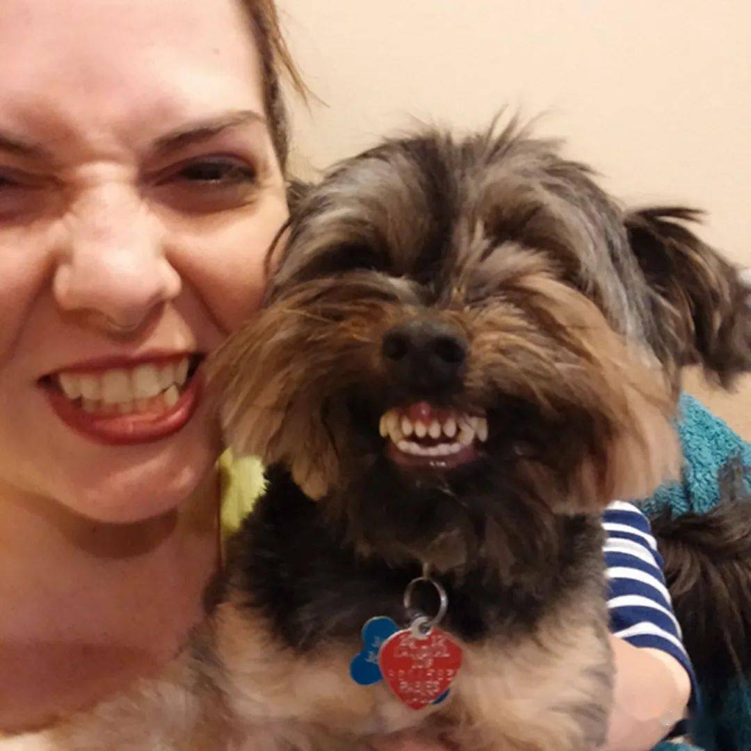 让你微笑的动物大合集,超温暖超治愈