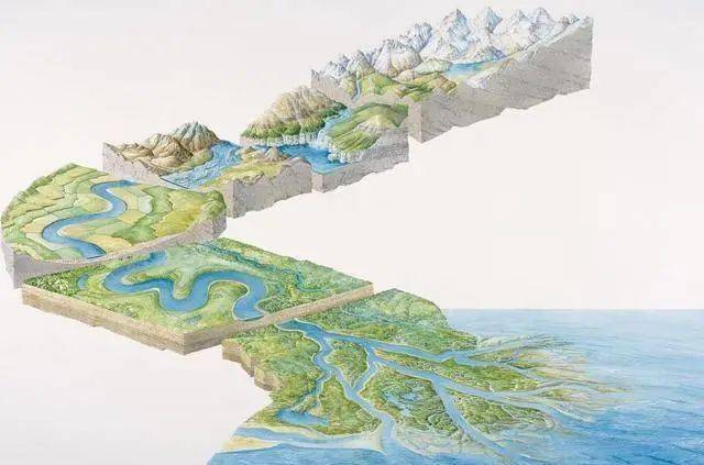 考点| 河流水系的形式及发展_支流