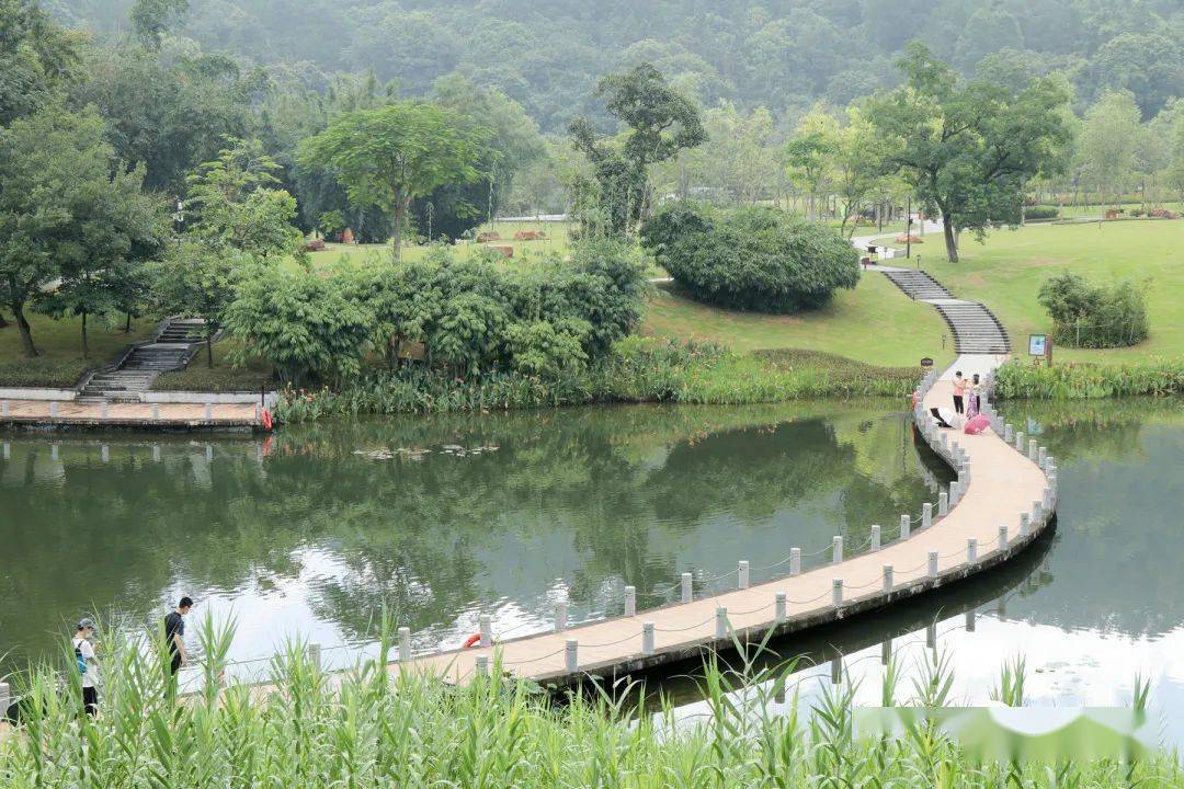 你有来吗今天新兴国恩寺对外开放现场