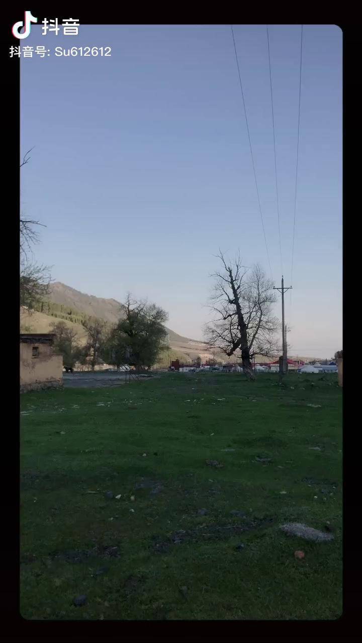 我的辣妹们帕尔维娜intizarmahmut