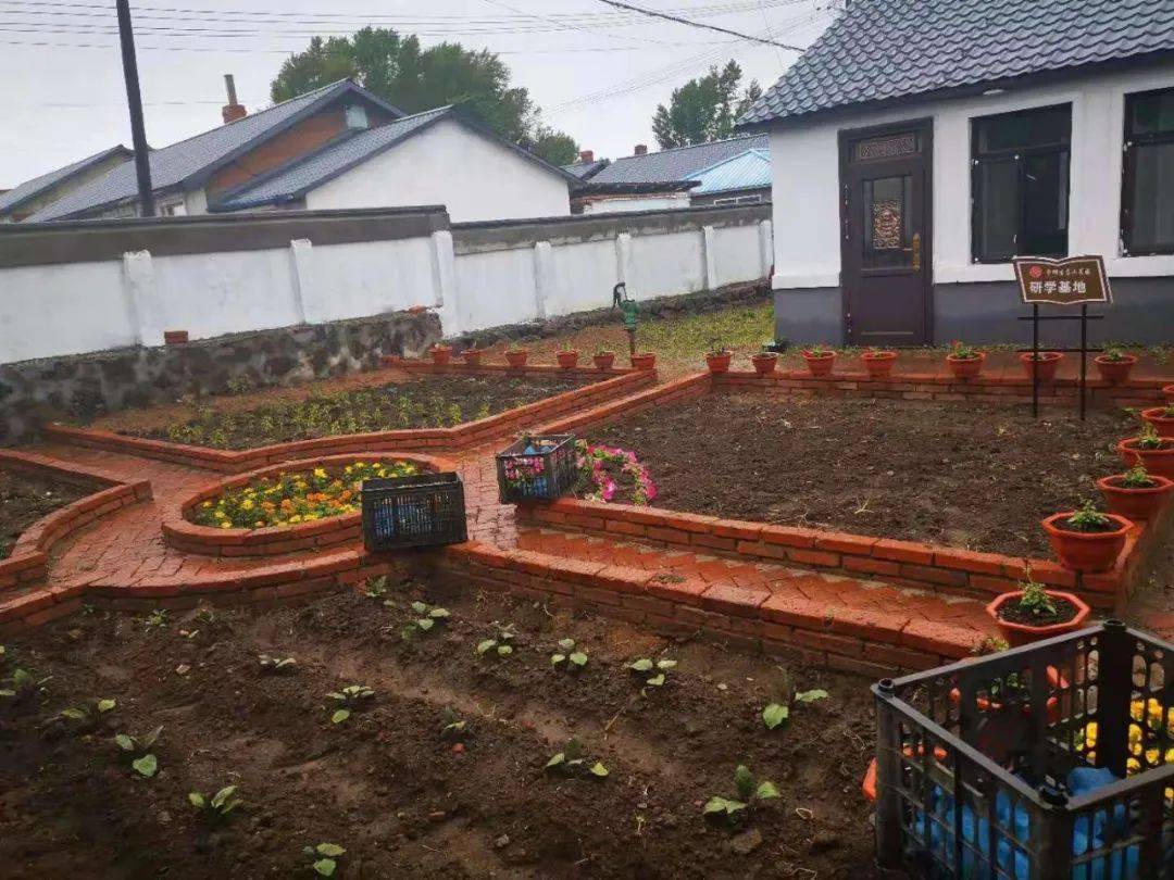 巾帼生态小菜园亮相了!