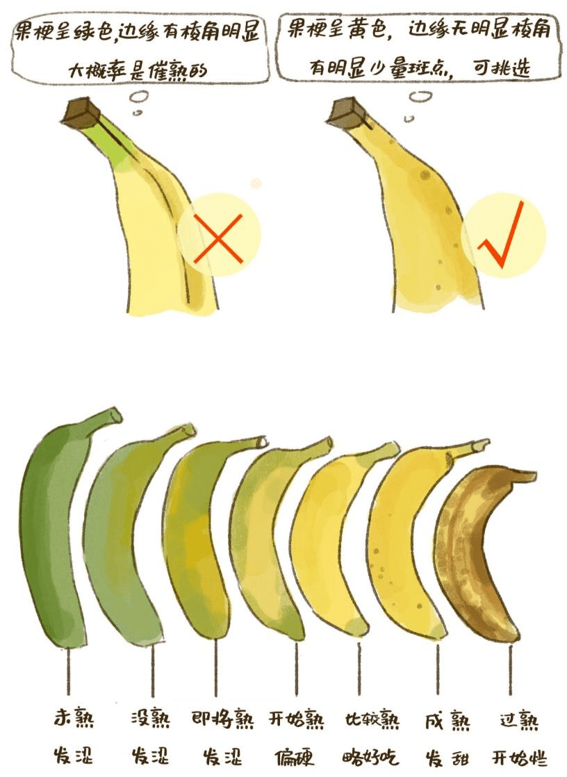 那怎么挑选好香蕉呢?