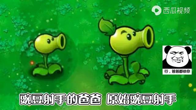 超强的新植物原始豌豆射手