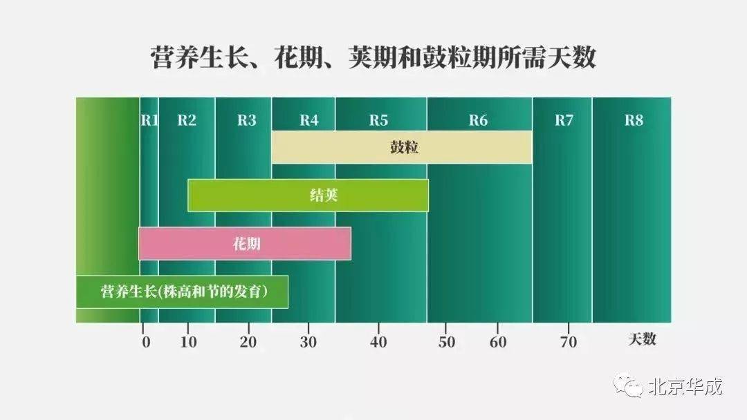 分别为:营养生长阶段,营养生长和生殖生长并进阶段和生殖生长阶段