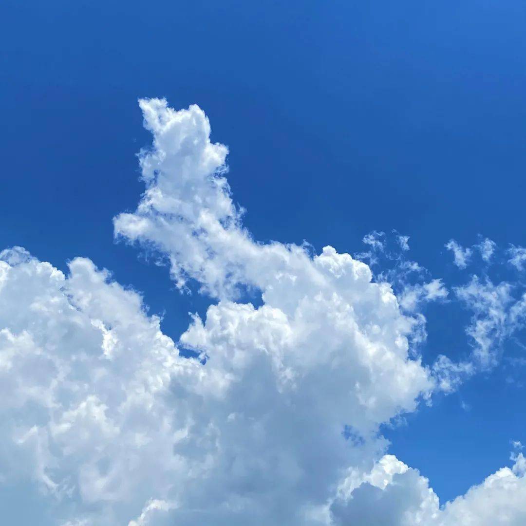 顺德的夏天太美了!(n张美图刷屏!