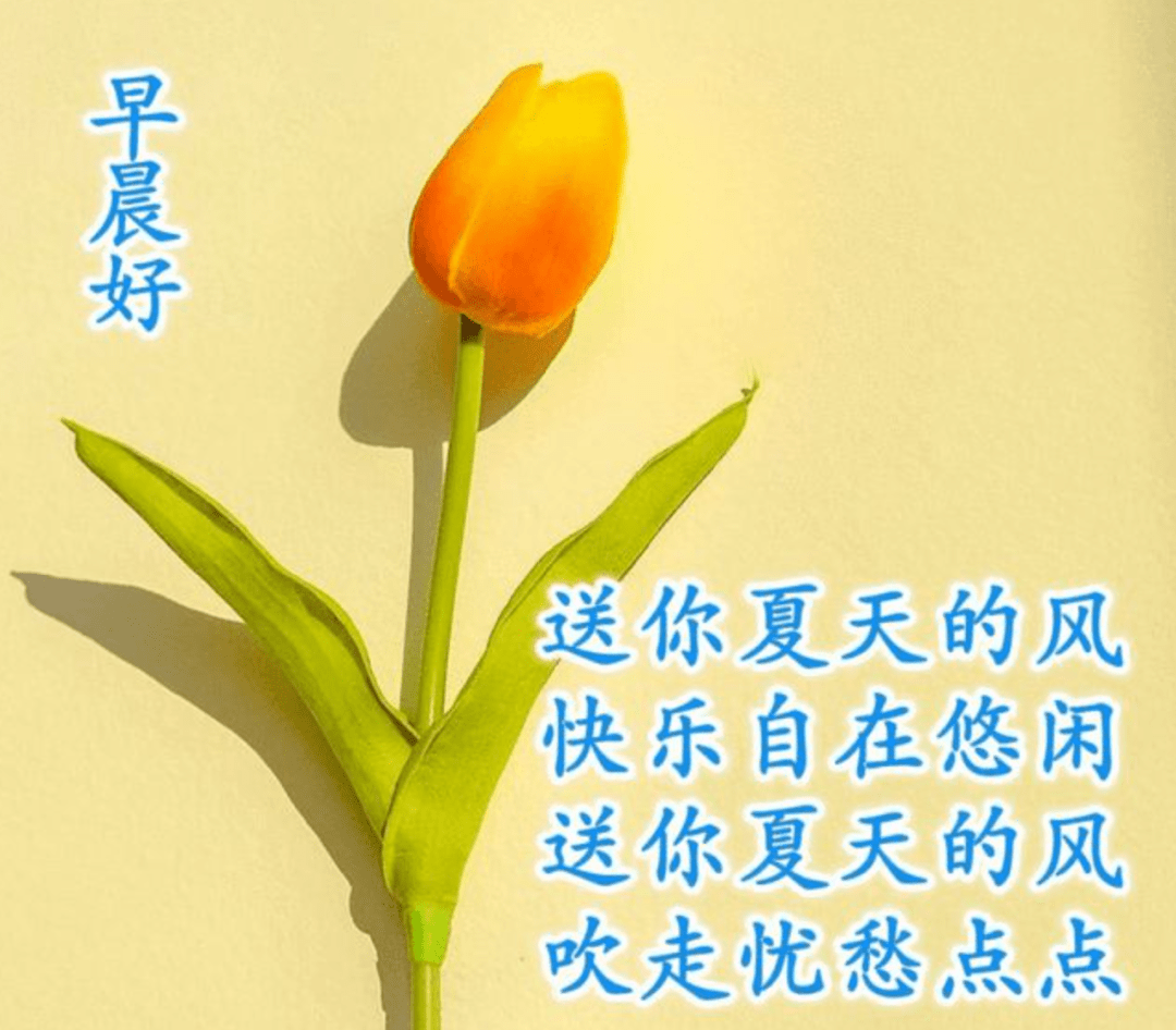 人生如梦,暮然回首万事空.嬉笑怒骂即生活,花开花落是人生