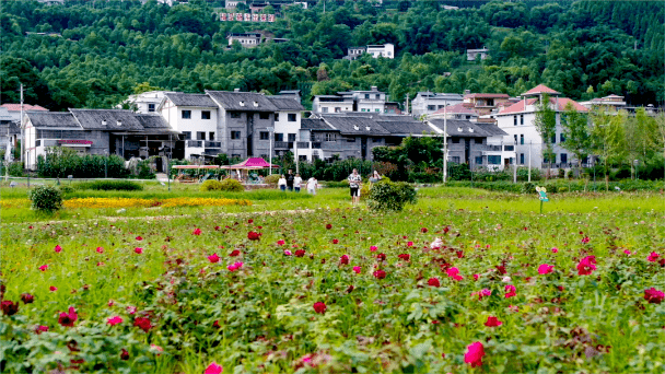 2021"生态竹溪·向阳花开"主题活动即将开启!这个周末好好耍~_开州