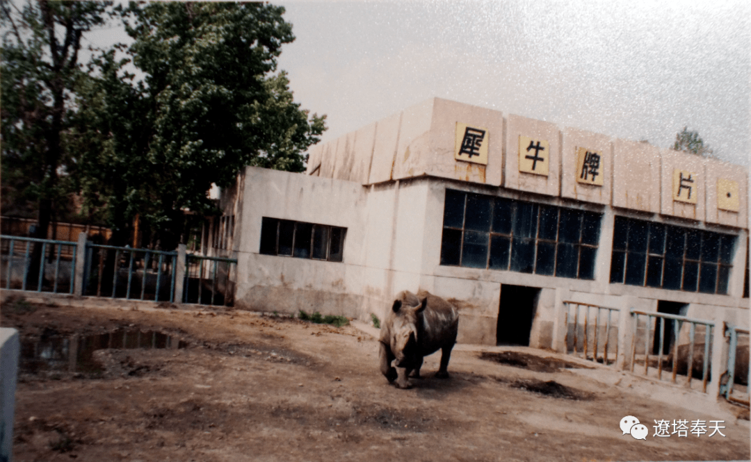 别了小河沿别了回不去的岁月