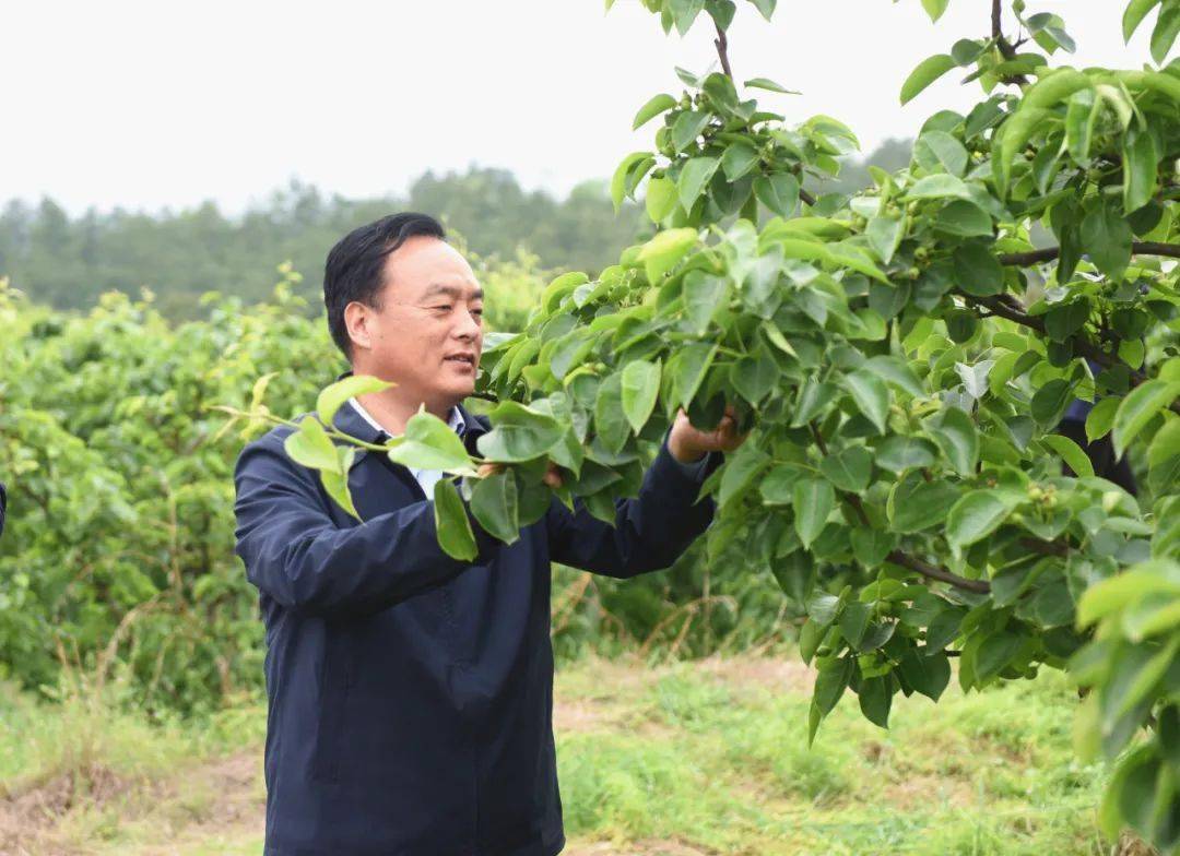 2021年淅川县县委书记图片