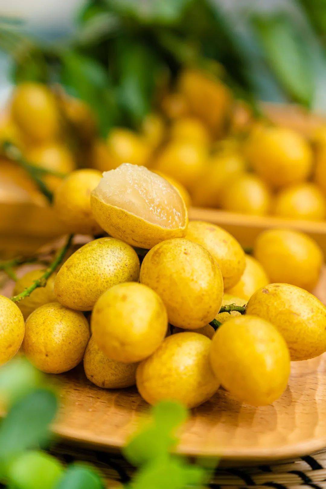 黄皮季|解暑黄皮|黄皮测评