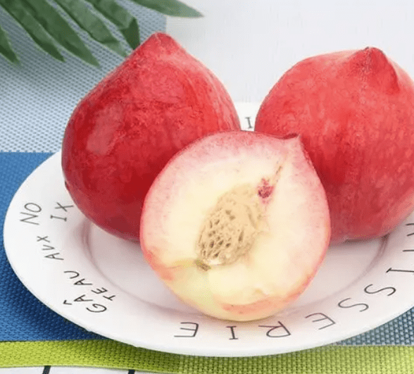 功效|桃香满枝头！这种果子对缓解咳喘也有良效