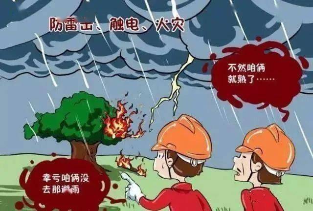 【安全教育】防汛防雷防暴雨,特殊天气要注意