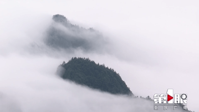 仿佛在云端"漫步"雾气缭绕升腾 云海波起峰涌黔江区白土乡三塘盖登临