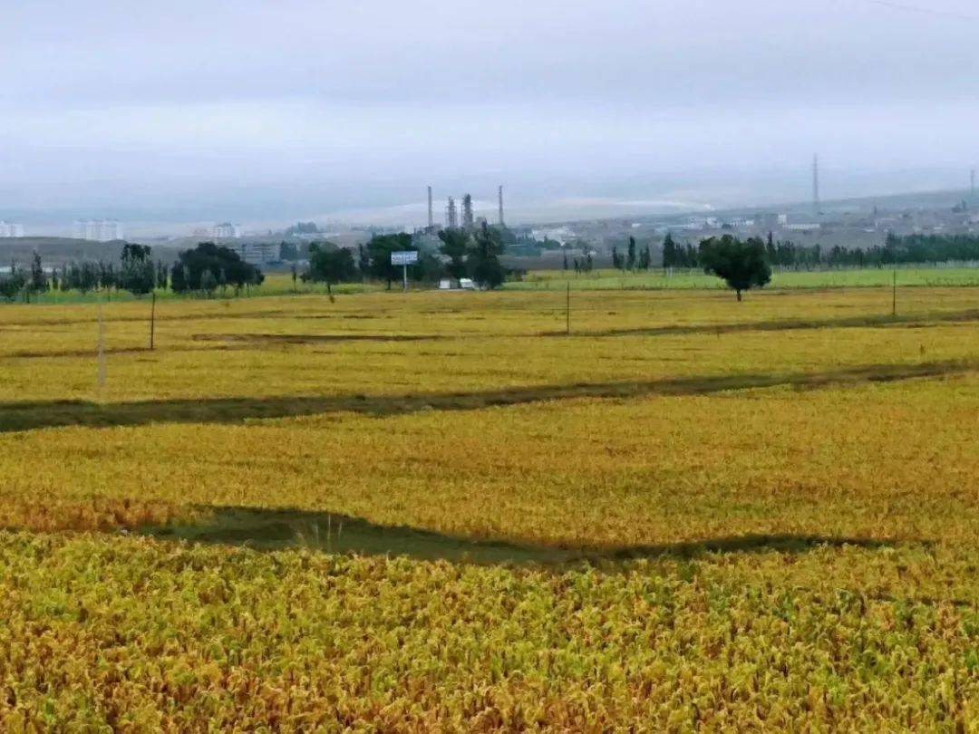 【圖文】慶陽北大門 魅力甜水堡_那一朵