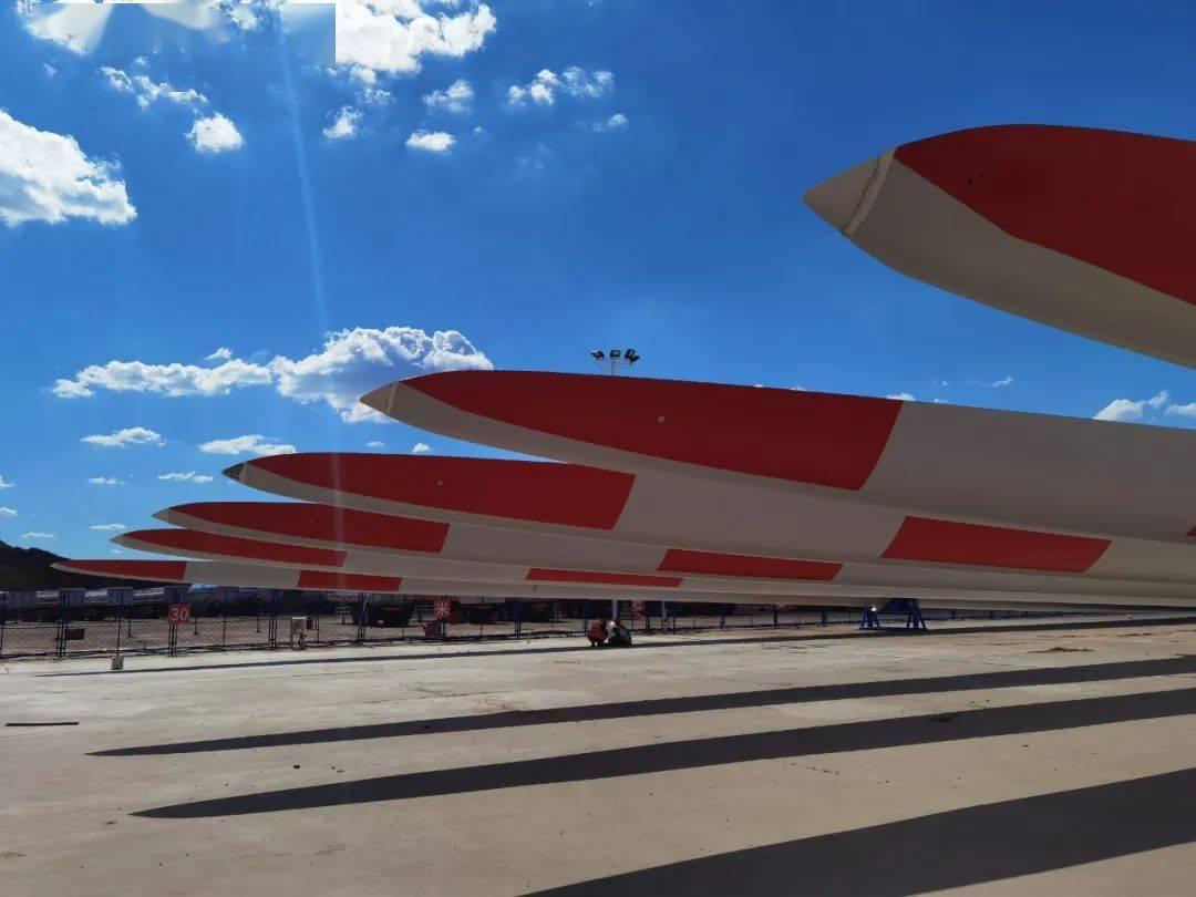 企业风采大树为何常青时代新材永远走在创新之路上