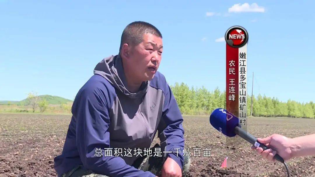 嫩江县多宝山镇矿山村农民 王连峰这片地一共是43户,总面积是1800亩