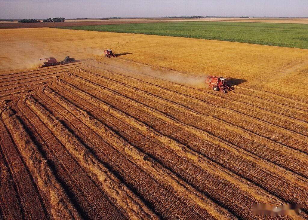 曲线救农土地治理政策出台大规模连片耕种下农民出路在哪