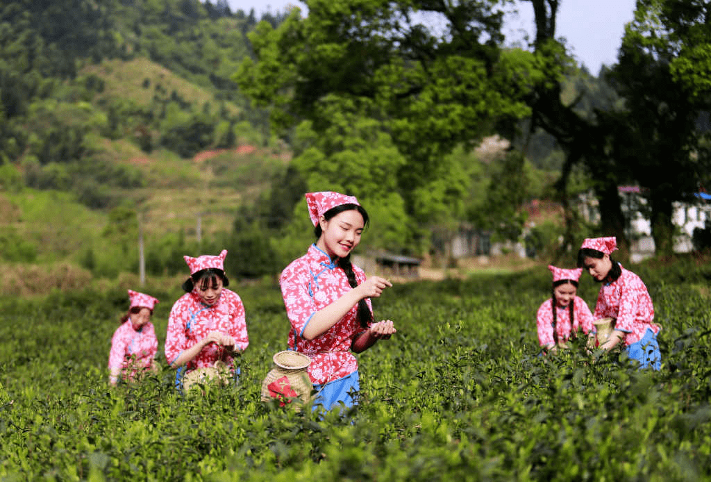 修水哪个镇的姑娌最好?看完别不服气!