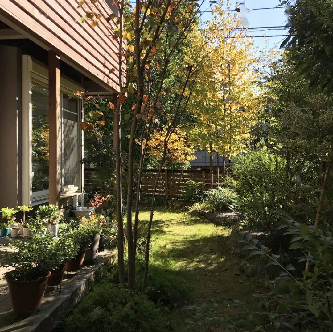 纯白原木风宽敞明亮的日本一户建小别墅