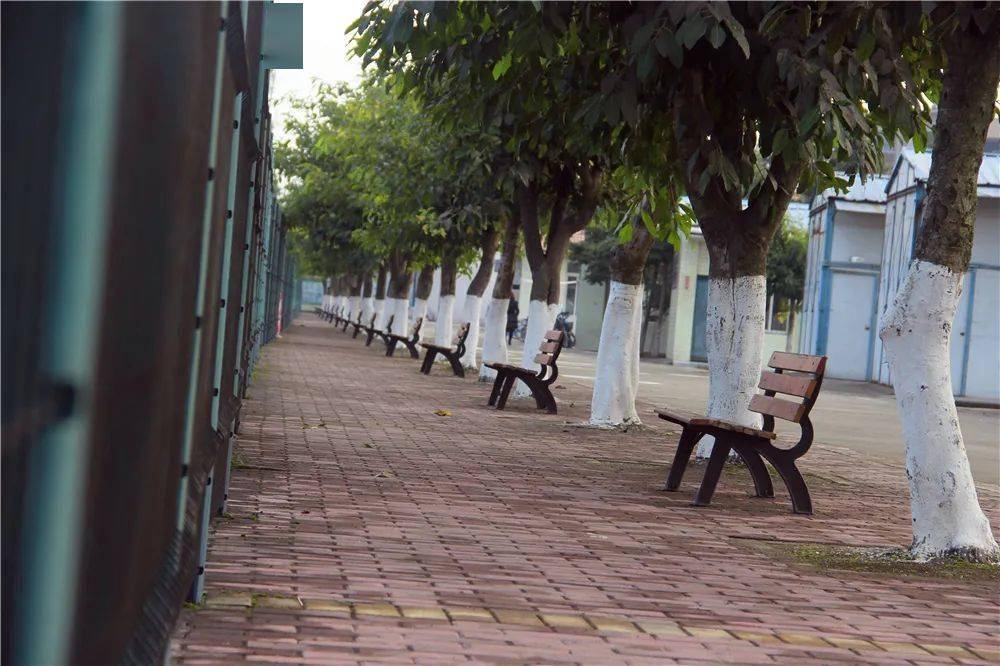 雅安市强项双语中学倾情倾力教好每一位学生