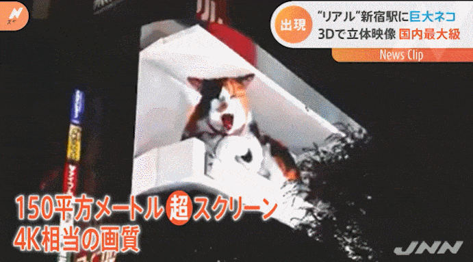 日本街头现巨型3d猫咪 希望和忠犬八公齐名 截图