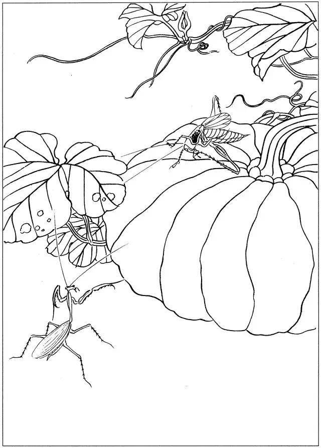 工笔画勾线笔 工笔画套笔 工笔画套装  高清电子图库  工笔画白描 你