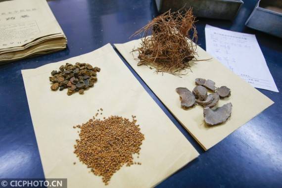 疾病|安徽黄山：“冬病夏治”正当时 三伏贴开贴