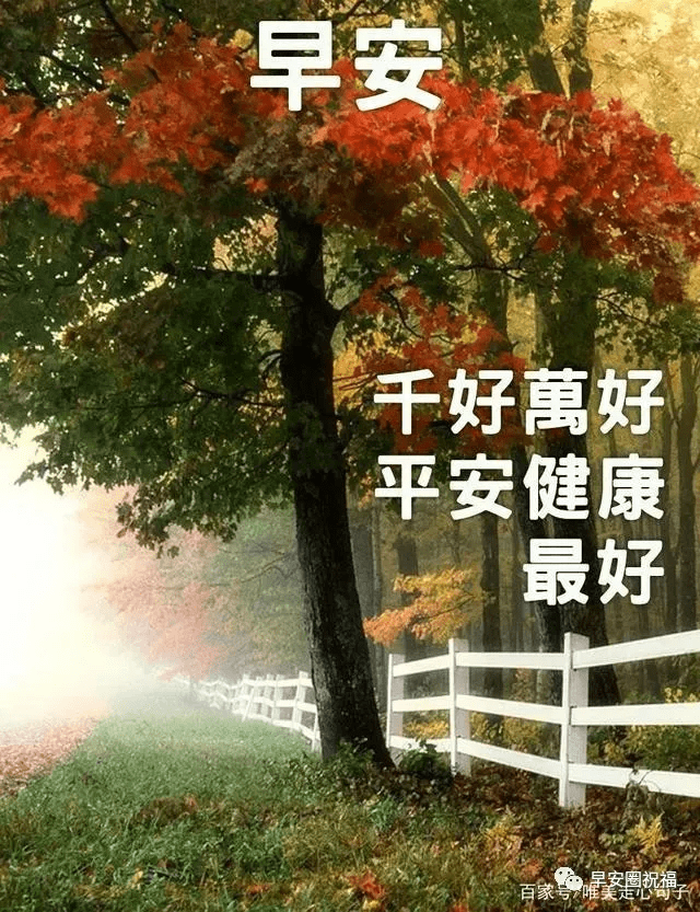 如何让人生充满宁静 0afe4a9be45941b79a440e30937f1922.png