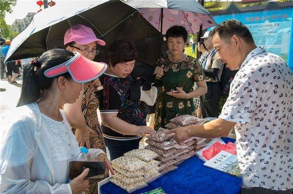 “夏看荷”！跟着长江日报城市摄影队去江夏拍荷花吧