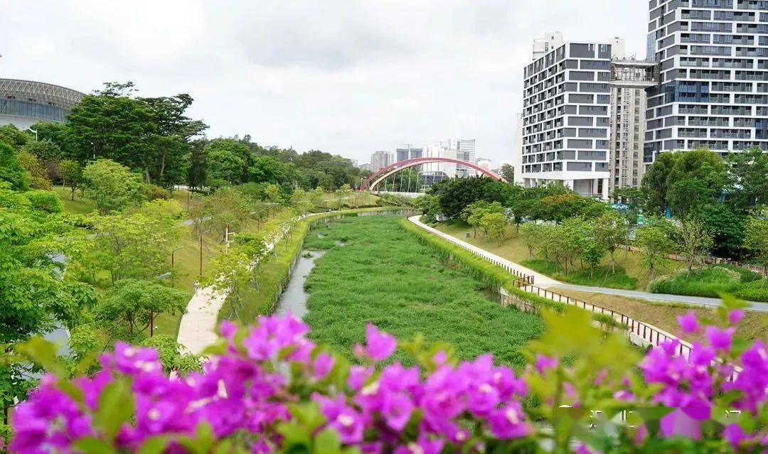 快來大沙河走夏天_長廊