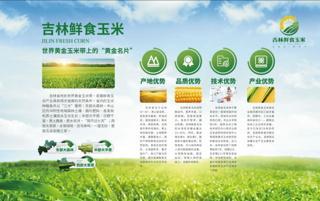 吉林鲜食玉米广告语揭晓__吉林省鲜食玉米产业联盟