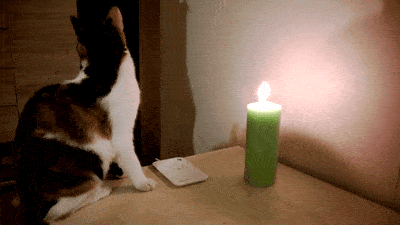 幽默段子钱是姻缘