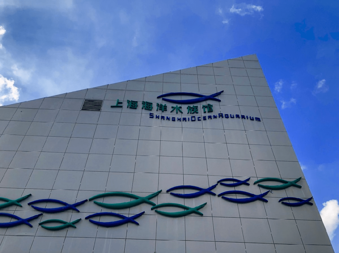 上海海洋水族馆建筑造型独特,内设富有特色的中国长江流域生物,生态展