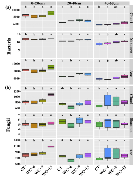 真菌alpha多樣性對比 tips omicsmart 16s-its報告的字母標記的盒型圖