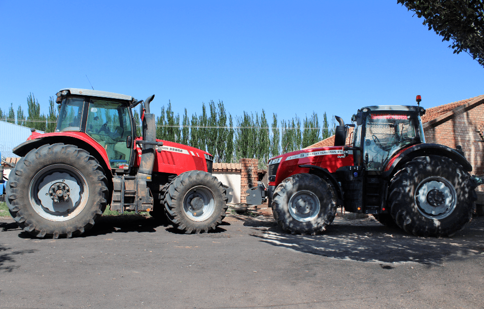 麦向幸福王耀临麦赛福格森致富路上的好伙伴