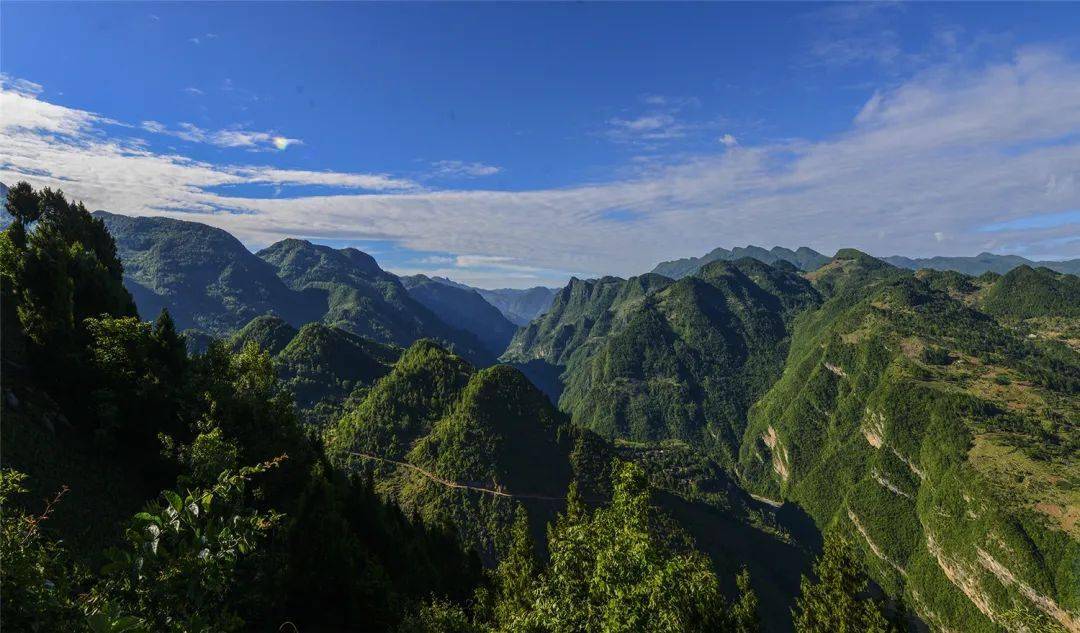 避暑去哪里快来通江县森林氧吧清凉一夏