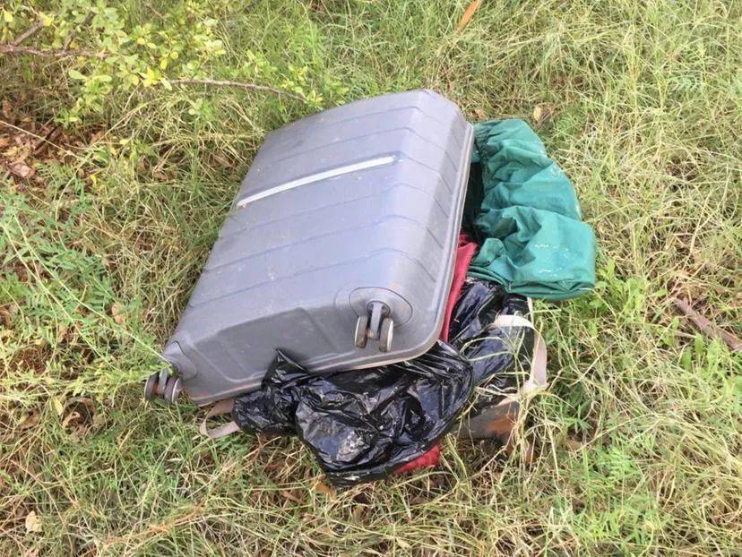 西澳废弃行李箱惊现犬尸!兽医:"死前刚经历分娩!