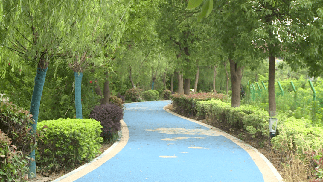 在徐泾,犄角旮旯也能遇见精致美好~_公园