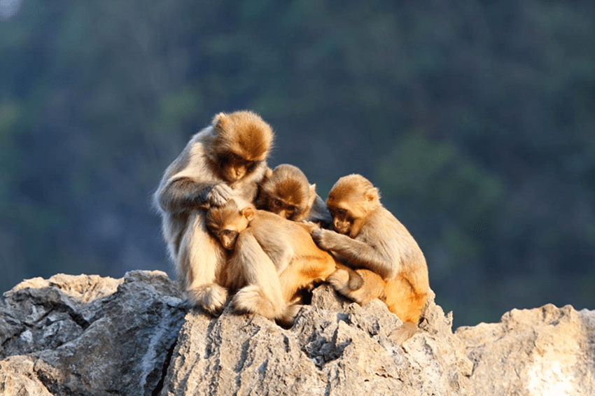 河池旅游暑期福利看这里啦,部分景区暑期门票5折哟～_活动