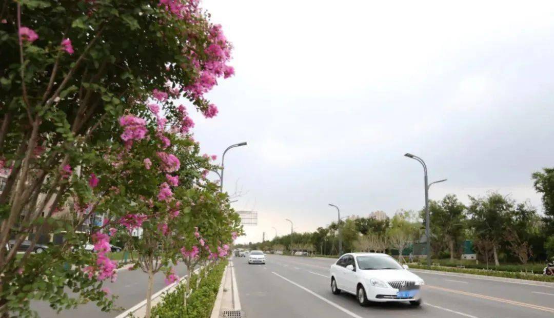 焦作城区新添东西大道天河北路全线通车