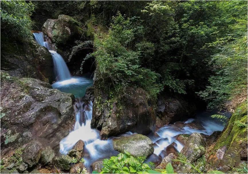 綠盈鄉村建設72丨連城縣曲溪鄉木陂村天然氧育綠意繞城高山上的綠野