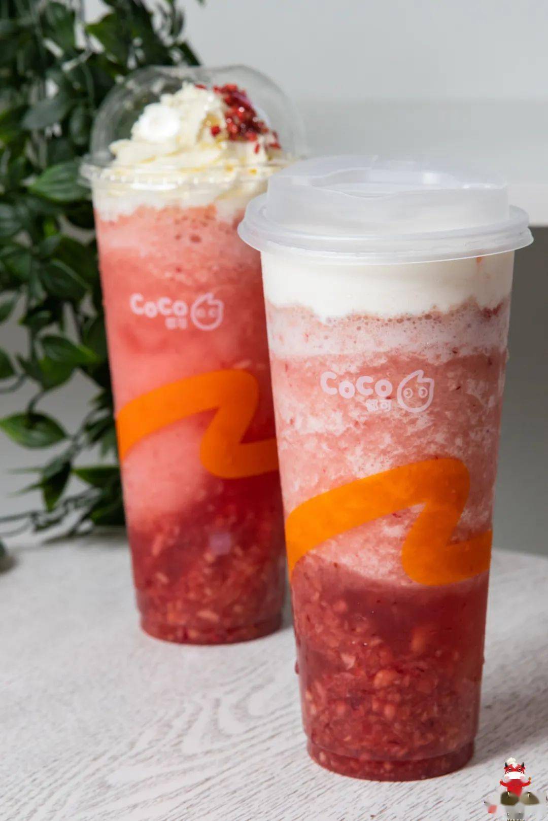 5折限抢①年①次的coco都可飚凉节来啦快冲