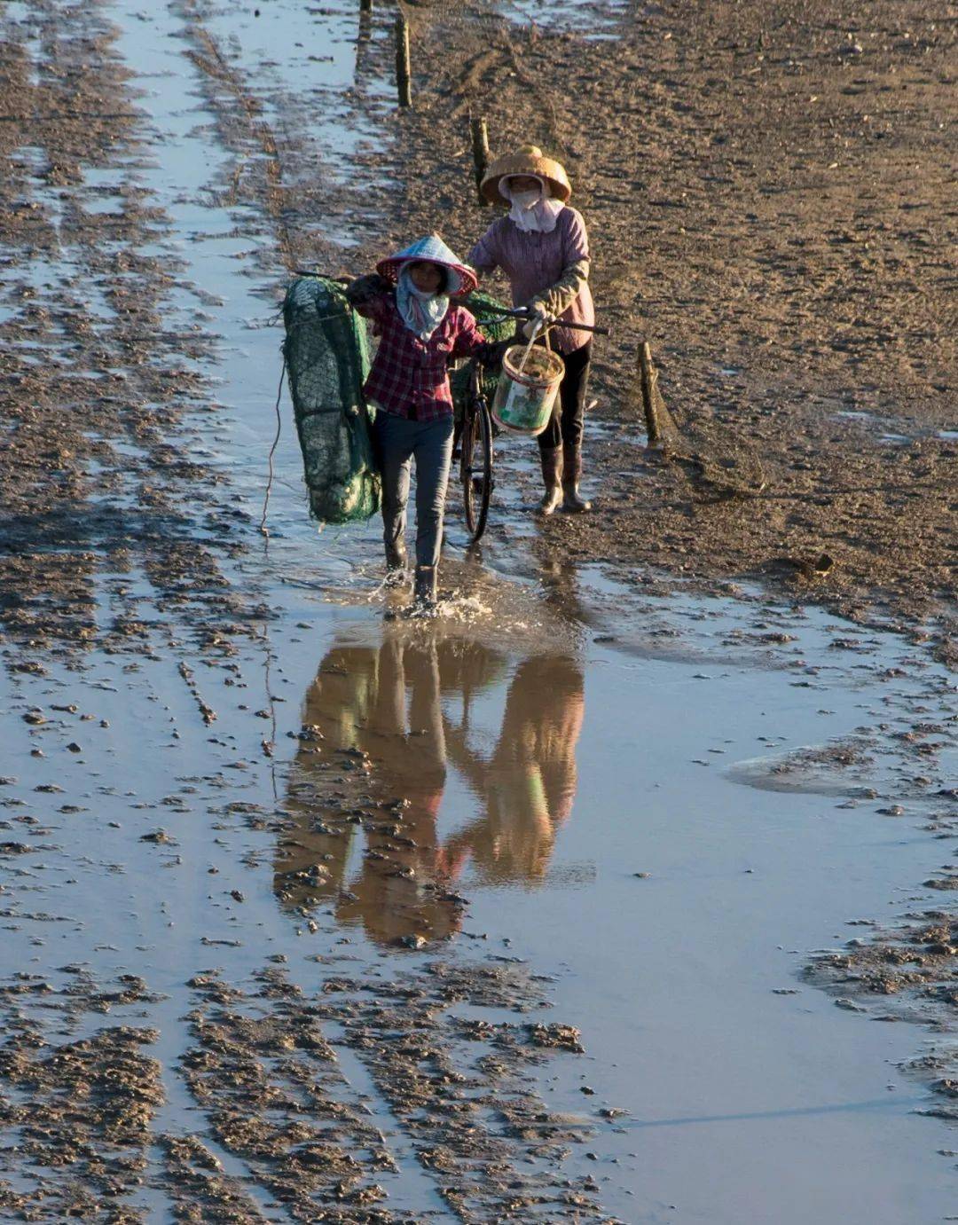 这个夏天,来茂名赶海去!