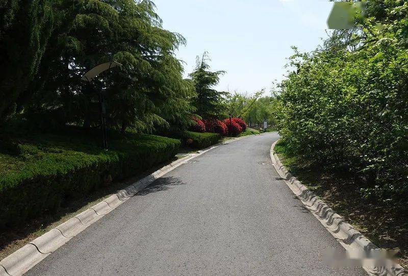 遊覽響水湖公園,體驗蘇北大平原的清涼夏天_響水縣