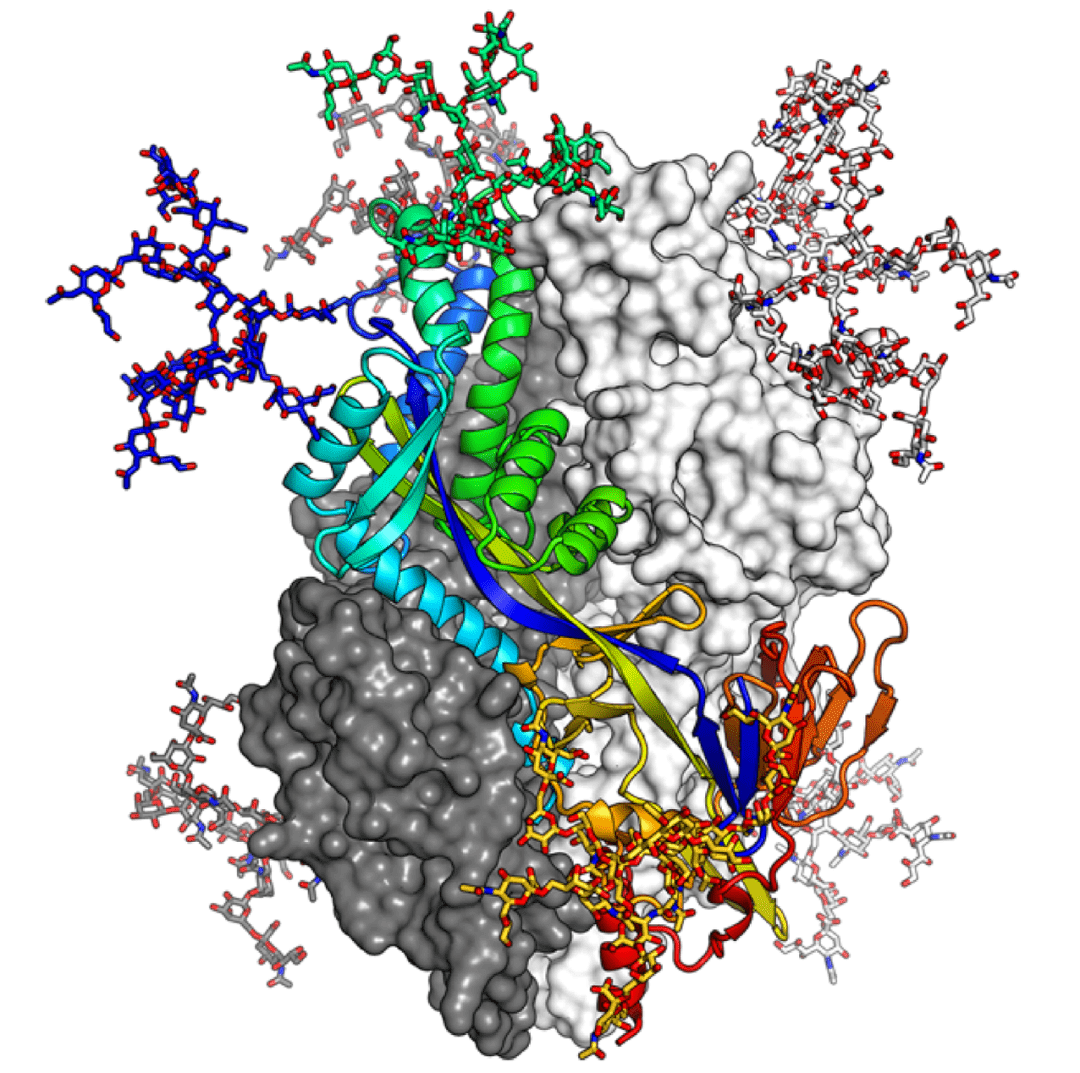 媲美alphafold2的蛋白质结构预测工具问世 可十分钟出结果 Rosettafold