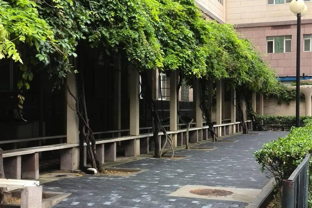 西城这处裸露地面变身休闲长廊居民又添好去处